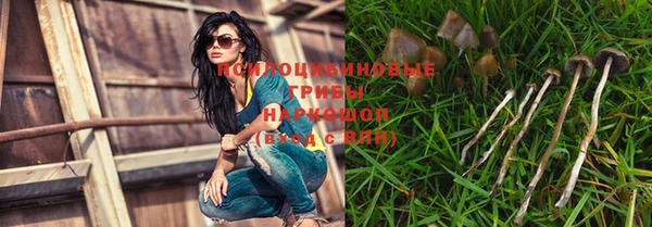 ешки Балахна