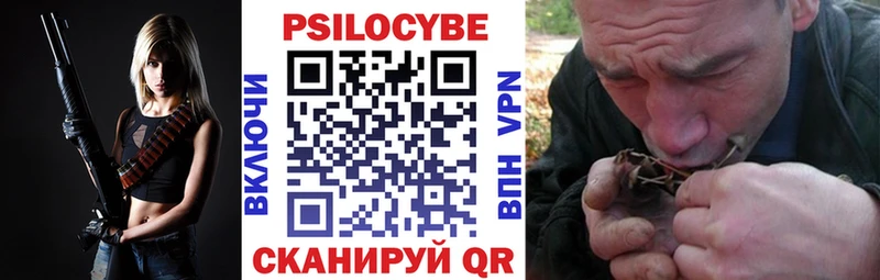 Галлюциногенные грибы Psilocybine cubensis  Назарово 